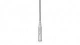 Датчик уровня Waterpilot  FMX21-AA111FGD11A+POPSZ1 (FMX167-F901BC0108E)